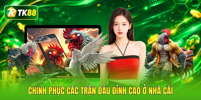 Các hình thức giải trí được lựa chọn nhiều
