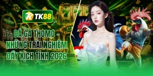Đá gà thomo - Những trải nghiệm đầy kịch tính 2026